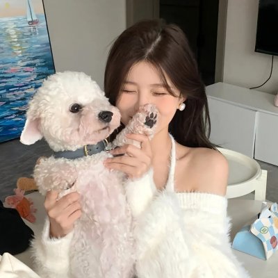 但愿人长久电影版